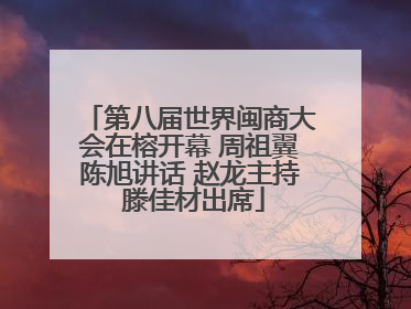 第八届世界闽商大会在榕开幕 周祖翼陈旭讲话 赵龙主持 滕佳材出席