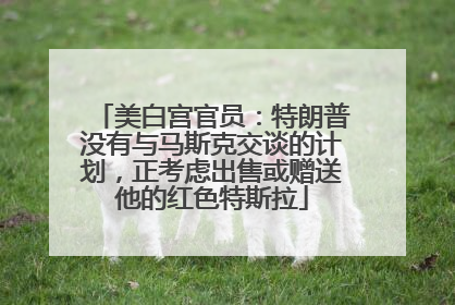 美白宫官员：特朗普没有与马斯克交谈的计划，正考虑出售或赠送他的红色特斯拉