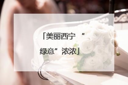 美丽西宁 “绿意”浓浓