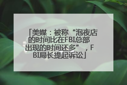 美媒：被称“泡夜店的时间比在FBI总部出现的时间还多”，FBI局长提起诉讼