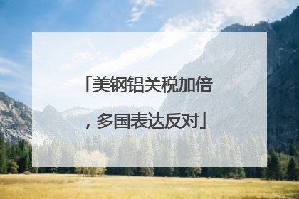 美钢铝关税加倍，多国表达反对