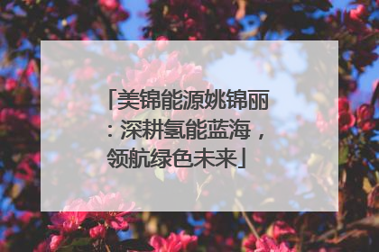 美锦能源姚锦丽：深耕氢能蓝海，领航绿色未来