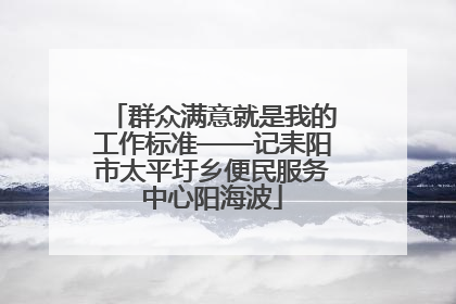 群众满意就是我的工作标准——记耒阳市太平圩乡便民服务中心阳海波