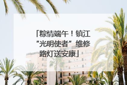 粽情端午！镇江“光明使者”维修路灯送安康