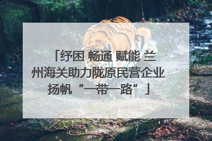 纾困 畅通 赋能 兰州海关助力陇原民营企业扬帆“一带一路”