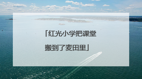 红光小学把课堂搬到了麦田里