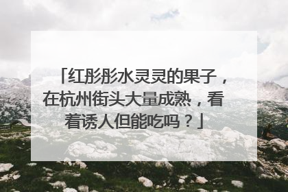 红彤彤水灵灵的果子，在杭州街头大量成熟，看着诱人但能吃吗？
