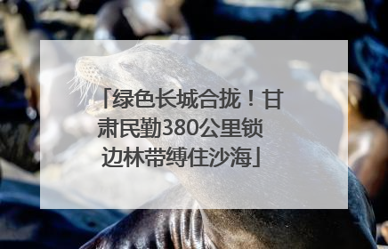 绿色长城合拢！甘肃民勤380公里锁边林带缚住沙海