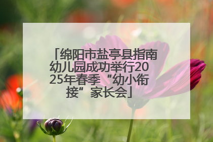 绵阳市盐亭县指南幼儿园成功举行2025年春季“幼小衔接”家长会