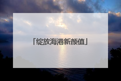 绽放海港新颜值