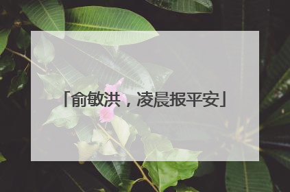 俞敏洪，凌晨报平安