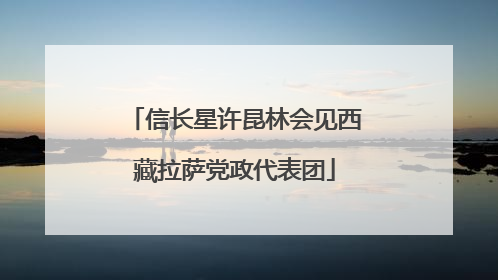 信长星许昆林会见西藏拉萨党政代表团