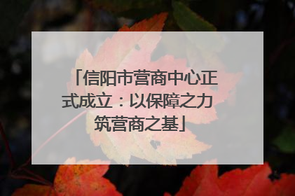 信阳市营商中心正式成立：以保障之力 筑营商之基