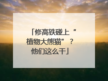 修高铁碰上“植物大熊猫”？他们这么干