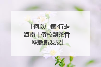 何以中国·行走海南｜侨校飘茶香 职教新发展