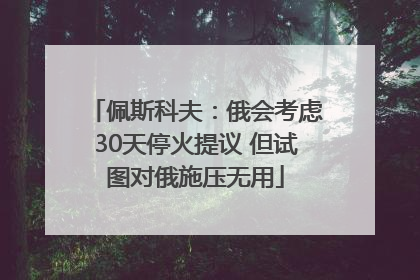 佩斯科夫：俄会考虑30天停火提议 但试图对俄施压无用