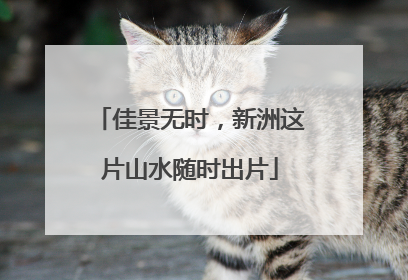 佳景无时，新洲这片山水随时出片