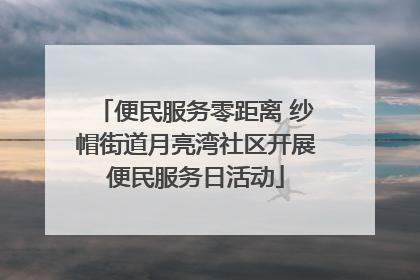 便民服务零距离 纱帽街道月亮湾社区开展便民服务日活动