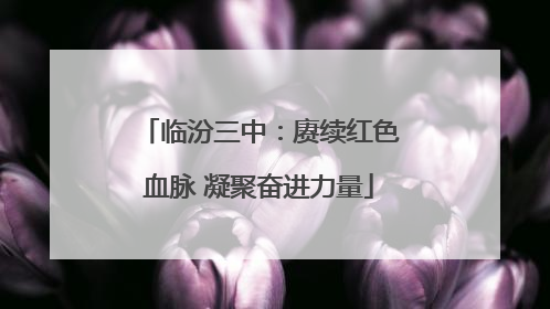 临汾三中：赓续红色血脉 凝聚奋进力量