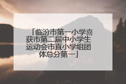 临汾市第一小学喜获市第二届中小学生运动会市直小学组团体总分第一