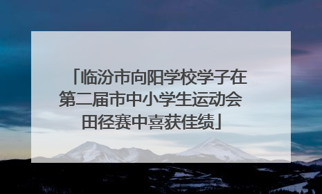 临汾市向阳学校学子在第二届市中小学生运动会田径赛中喜获佳绩