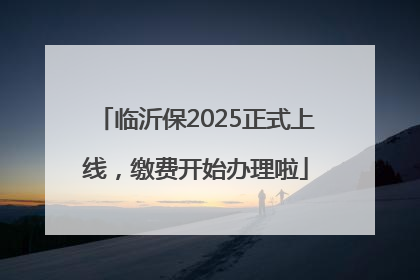 临沂保2025正式上线，缴费开始办理啦