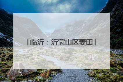 临沂：沂蒙山区麦田