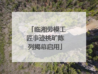临湘劳模工匠事迹桃矿陈列揭幕启用