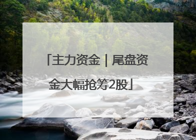 主力资金｜尾盘资金大幅抢筹2股