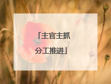 主官主抓 分工推进