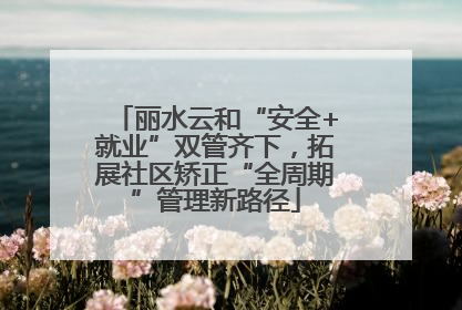 丽水云和“安全+就业”双管齐下，拓展社区矫正“全周期”管理新路径