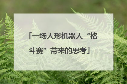 一场人形机器人“格斗赛”带来的思考