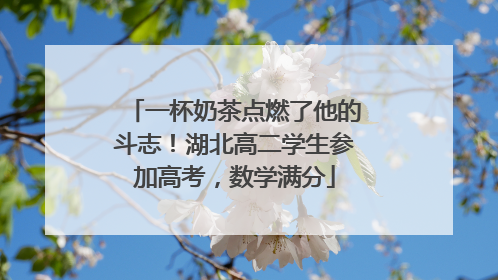 一杯奶茶点燃了他的斗志！湖北高二学生参加高考，数学满分