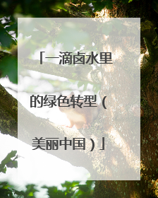 一滴卤水里的绿色转型（美丽中国）