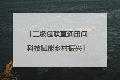 三级包联直通田间 科技赋能乡村振兴