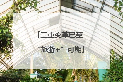 三重变革已至 “旅游+”可期