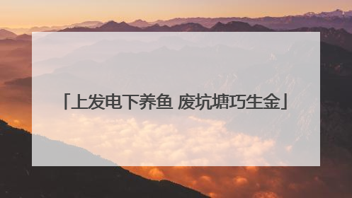 上发电下养鱼 废坑塘巧生金