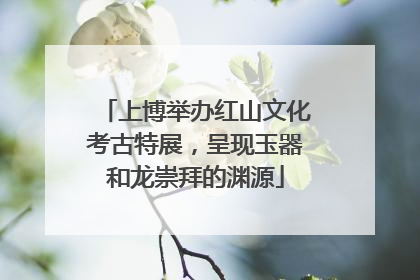 上博举办红山文化考古特展，呈现玉器和龙崇拜的渊源