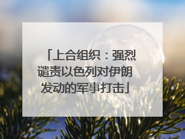 上合组织：强烈谴责以色列对伊朗发动的军事打击
