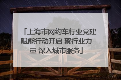 上海市网约车行业党建赋能行动开启 聚行业力量 深入城市服务