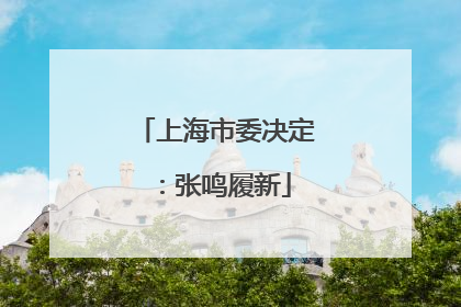 上海市委决定：张鸣履新