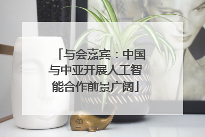 与会嘉宾：中国与中亚开展人工智能合作前景广阔