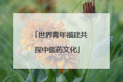 世界青年福建共探中医药文化