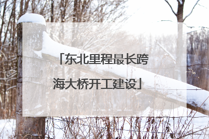东北里程最长跨海大桥开工建设