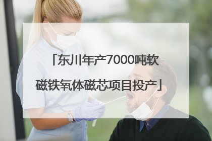 东川年产7000吨软磁铁氧体磁芯项目投产