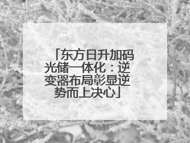 东方日升加码光储一体化：逆变器布局彰显逆势而上决心