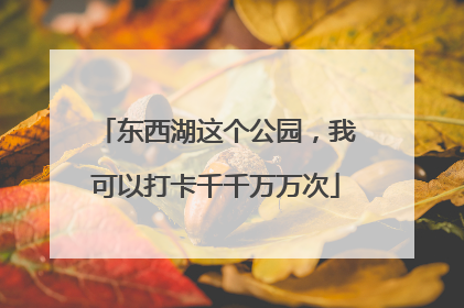 东西湖这个公园，我可以打卡千千万万次