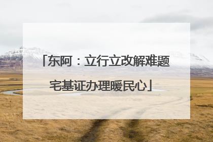 东阿：立行立改解难题 宅基证办理暖民心