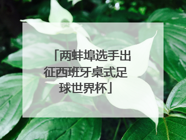 两蚌埠选手出征西班牙桌式足球世界杯