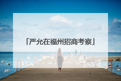 严允在福州招商考察